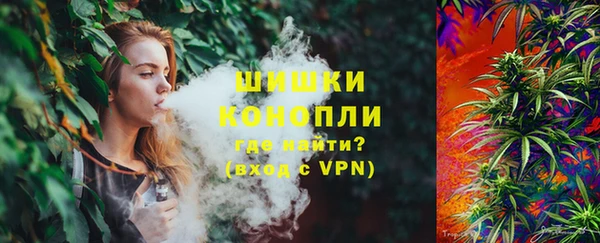 амф Снежинск