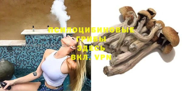 дурь Богданович