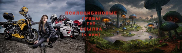 МДПВ Слюдянка
