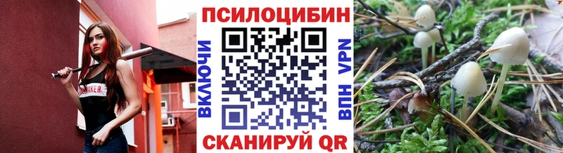 дарнет шоп  Коркино  Галлюциногенные грибы ЛСД 